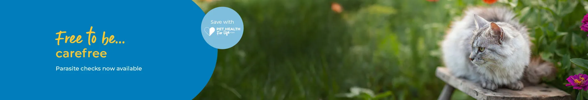 Fleas, worms and other parasites treatment at AAS Vets