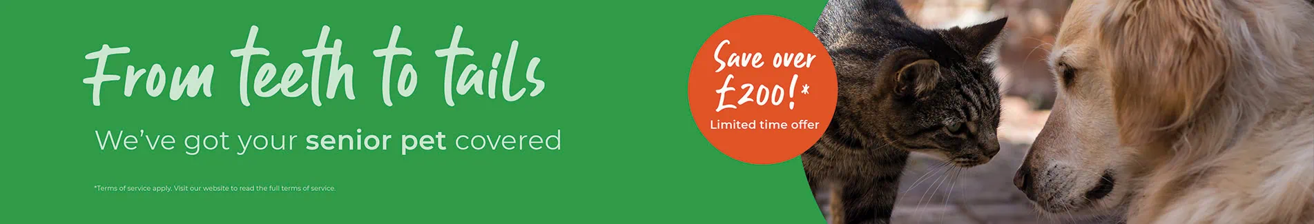 Help Your Senior Pet Thrive with Our Comprehensive Health Check!