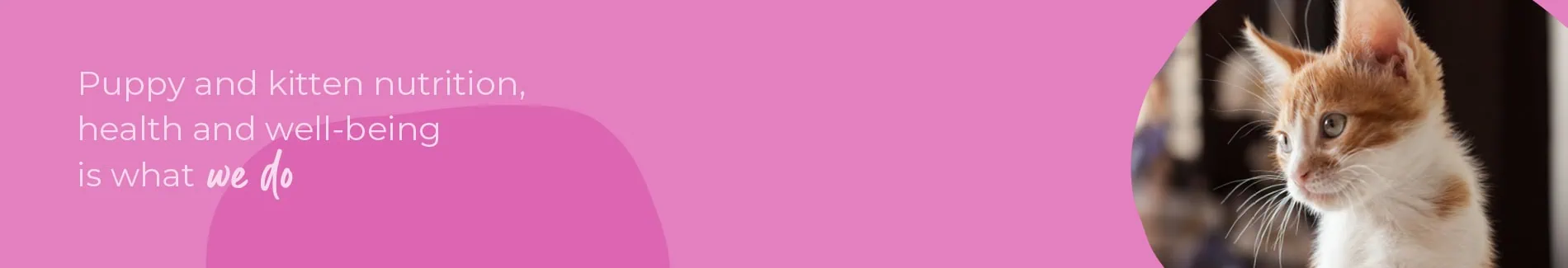 Welcoming your new puppy or kitten