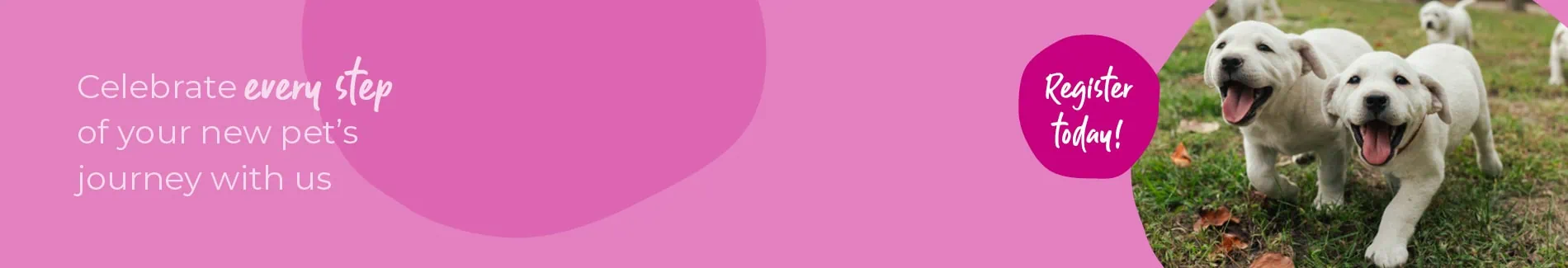 Welcoming your new puppy or kitten